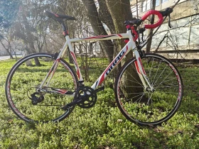 ������ Master  | Mobile.bg � ����� ������ 2