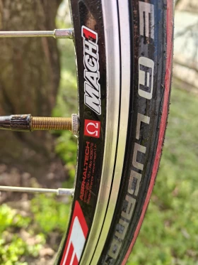 ������ Master  | Mobile.bg � ����� ������ 8