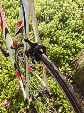 ������ Master  | Mobile.bg � ����� ������ 9