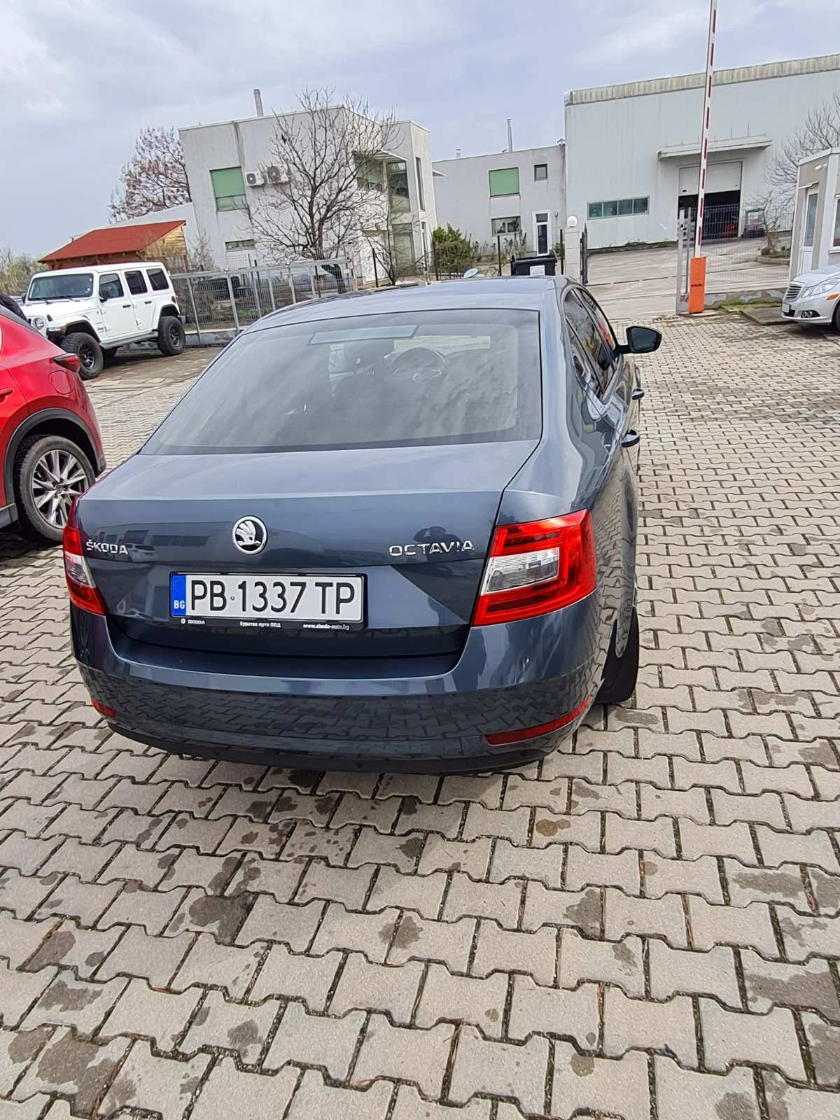 Skoda Octavia, снимка 13 - Автомобили и джипове - 55004574