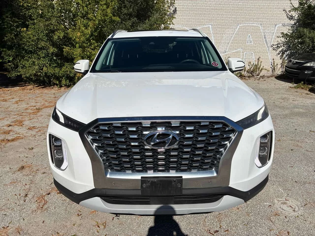 Hyundai Palisade * Luxury * CARFAX * ����� �� ����������� | Mobile.bg � ����������� 6