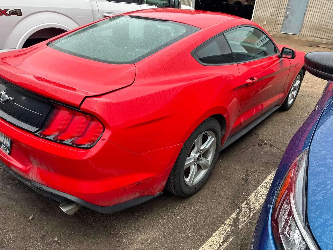 Ford Mustang * EcoBoost * CARFAX * ��� ������������ ������ | Mobile.bg � ����������� 3