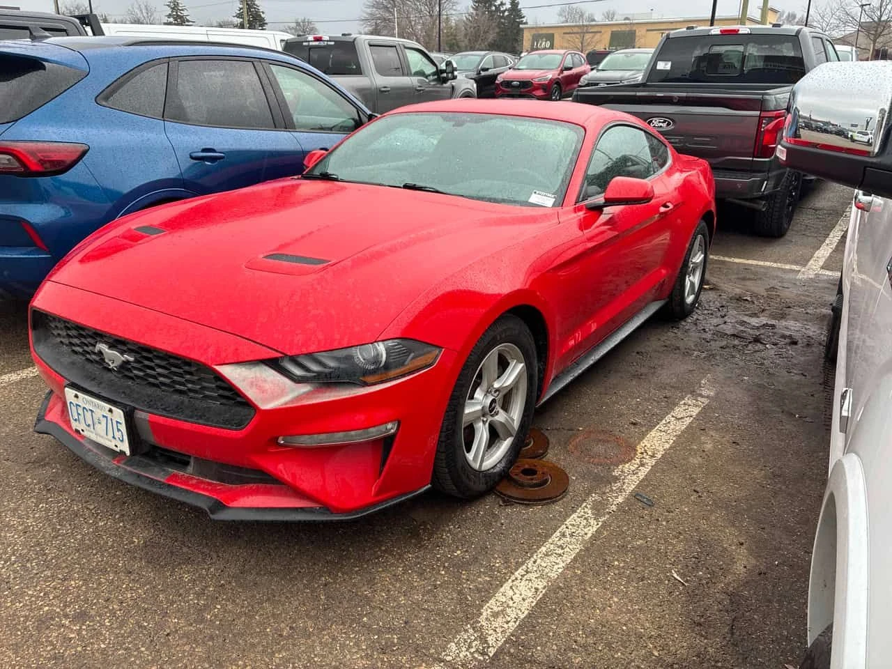 Ford Mustang * EcoBoost * CARFAX * ��� ������������ ������ | Mobile.bg � ����������� 2