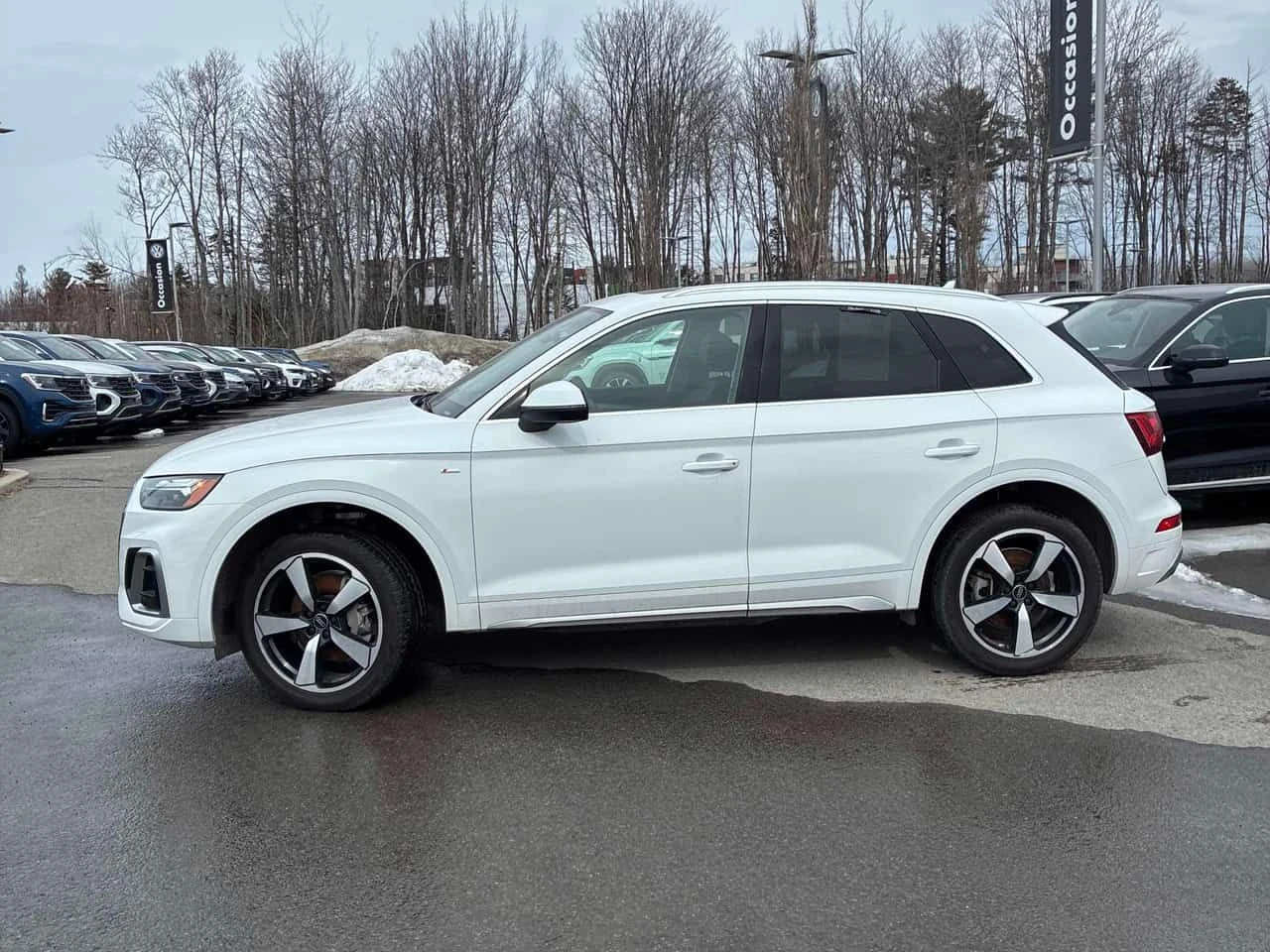 Audi Q5 Progressiv/ДИСТРОНИК/ПАНОРАМА/ПРЕДСТАВИТЕЛСТВО, снимка 3 - Автомобили и джипове - 54033599