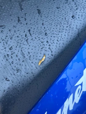 Honda Hornet PC36 TOP, снимка 14