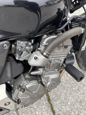 Honda Hornet Dominator | Auto.bg — изображение 7