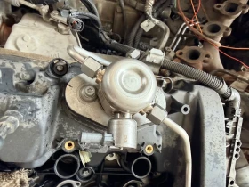 ������ ������� ������� ����...