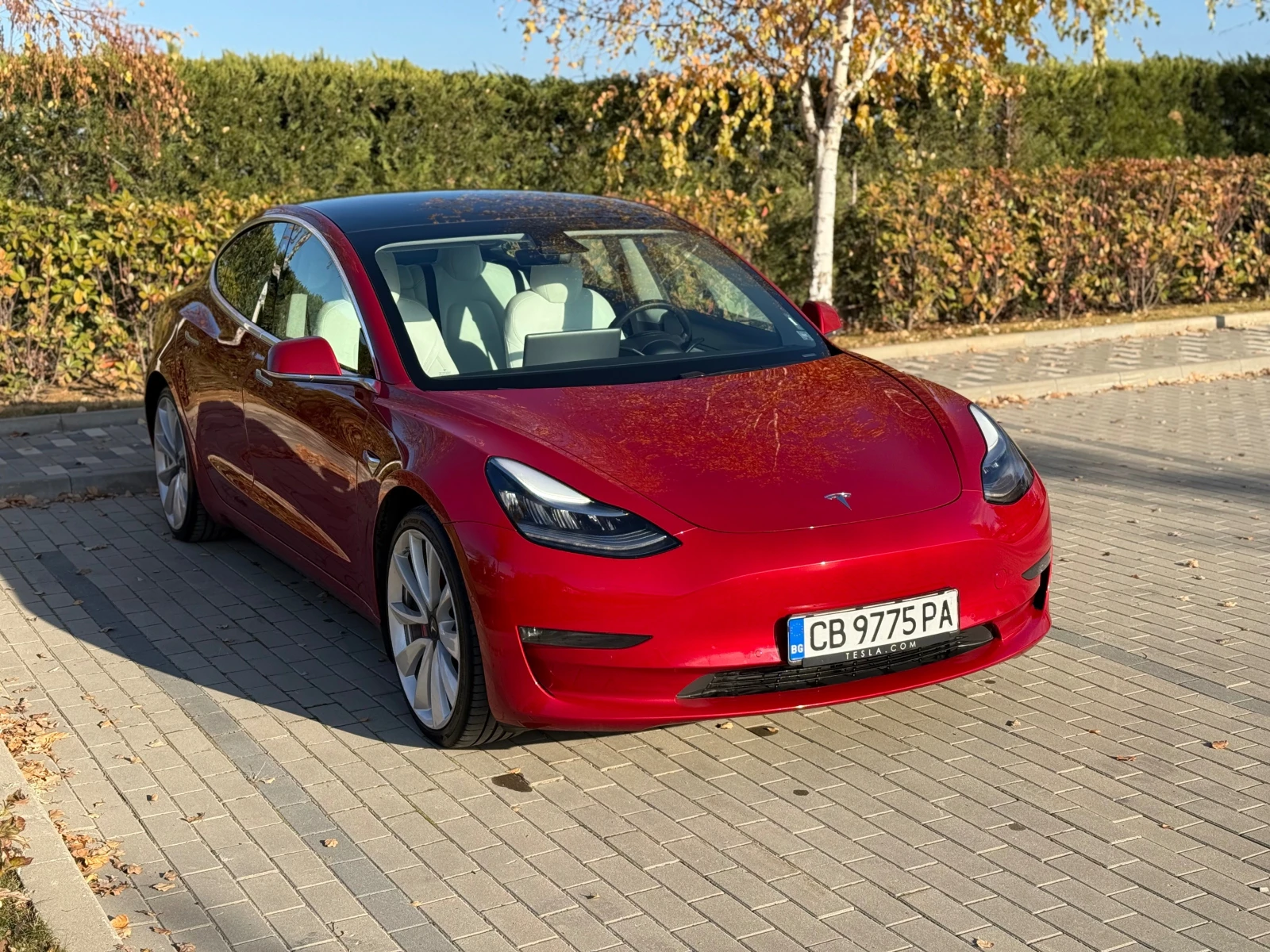 Tesla Model 3 Performance FSD  - изображение 3