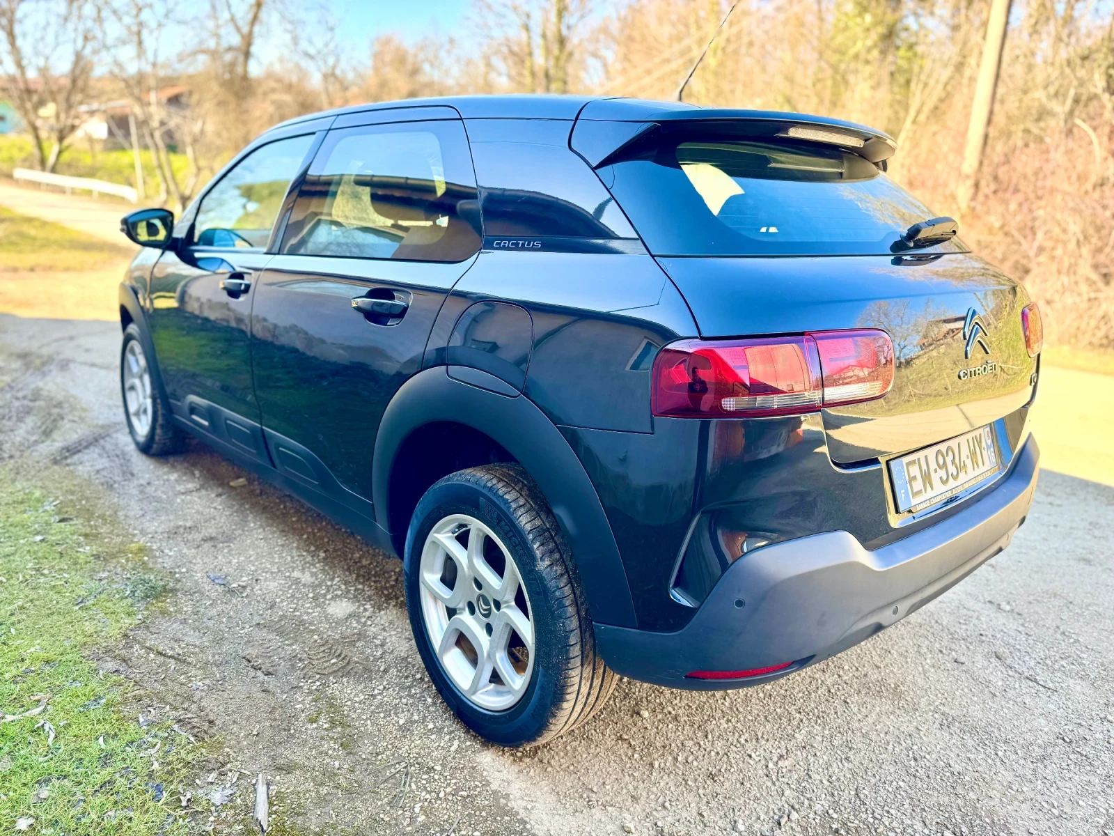 Citroen C4 Cactus 1.2 T FACELIFT | Mobile.bg � ����������� 3