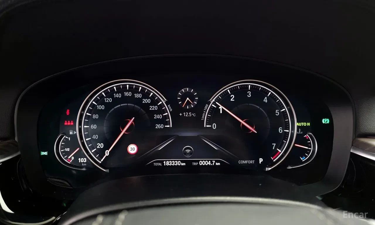 BMW 530 XDRIVE , снимка 6 - Автомобили и джипове - 54751168