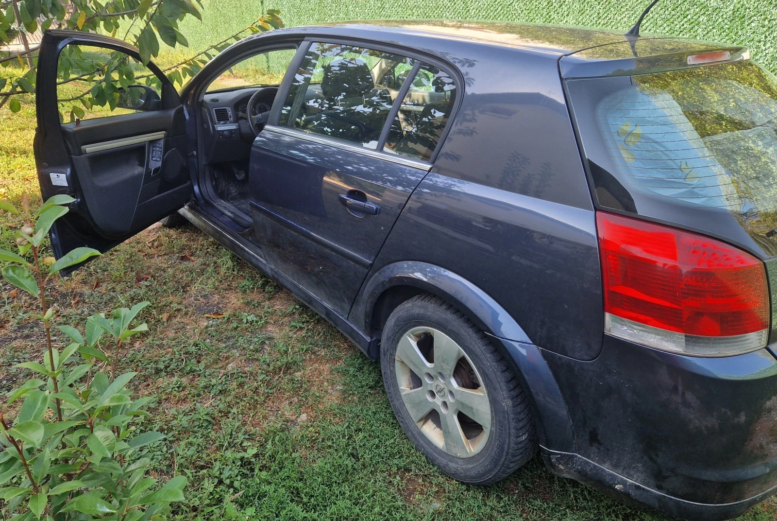 Opel Signum, снимка 3 - Автомобили и джипове - 56357726