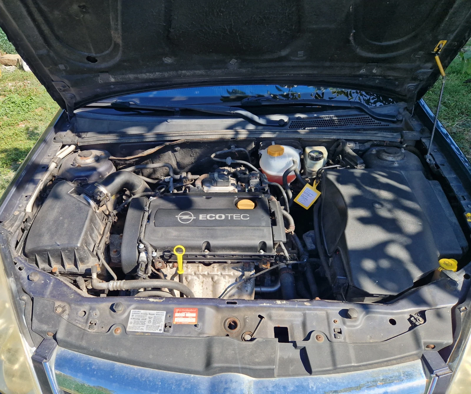 Opel Signum, снимка 8 - Автомобили и джипове - 56357726
