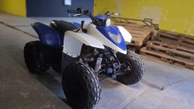 Polaris General 300 кубика, снимка 3