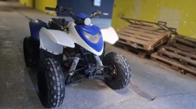 Polaris General 300 кубика | Auto.bg — изображение 6