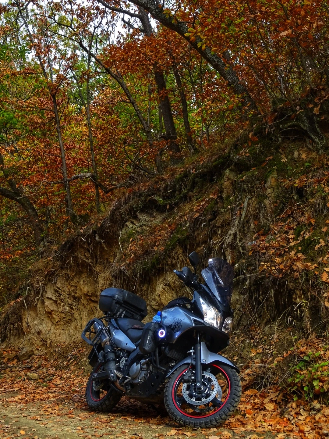 Suzuki V-strom DL650, снимка 17 - Мотоциклети и мототехника - 55373860