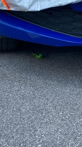 NIU M Light blue , снимка 8