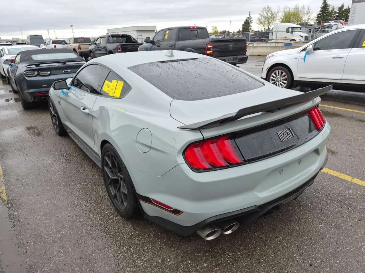 Ford Mustang * MACH 1 * CARFAX * 2 КЛЮЧА * ОБДУХВАНЕ * , снимка 4 - Автомобили и джипове - 54455091
