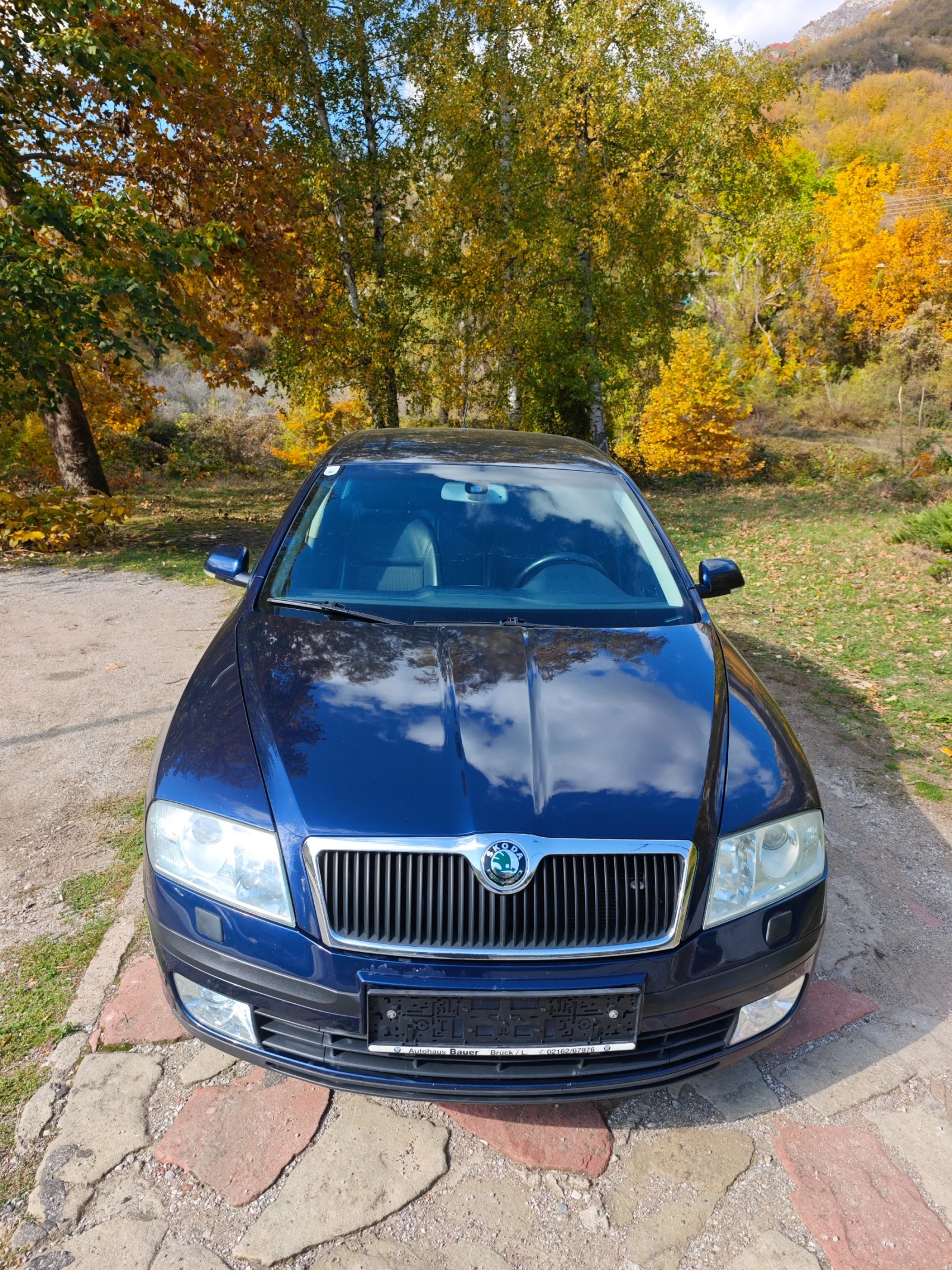 Skoda Octavia 2.0ТДИ АВТОМАТИК | Mobile.bg — изображение 11