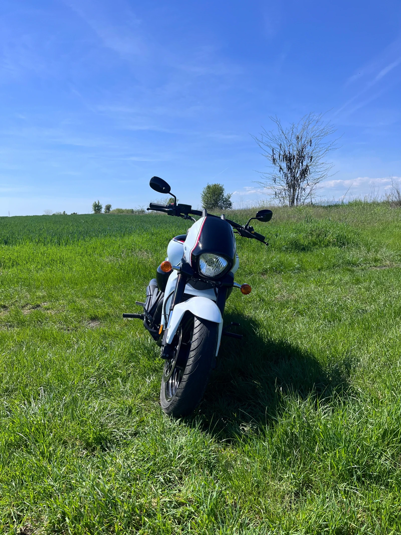 Suzuki Boulevard 1800