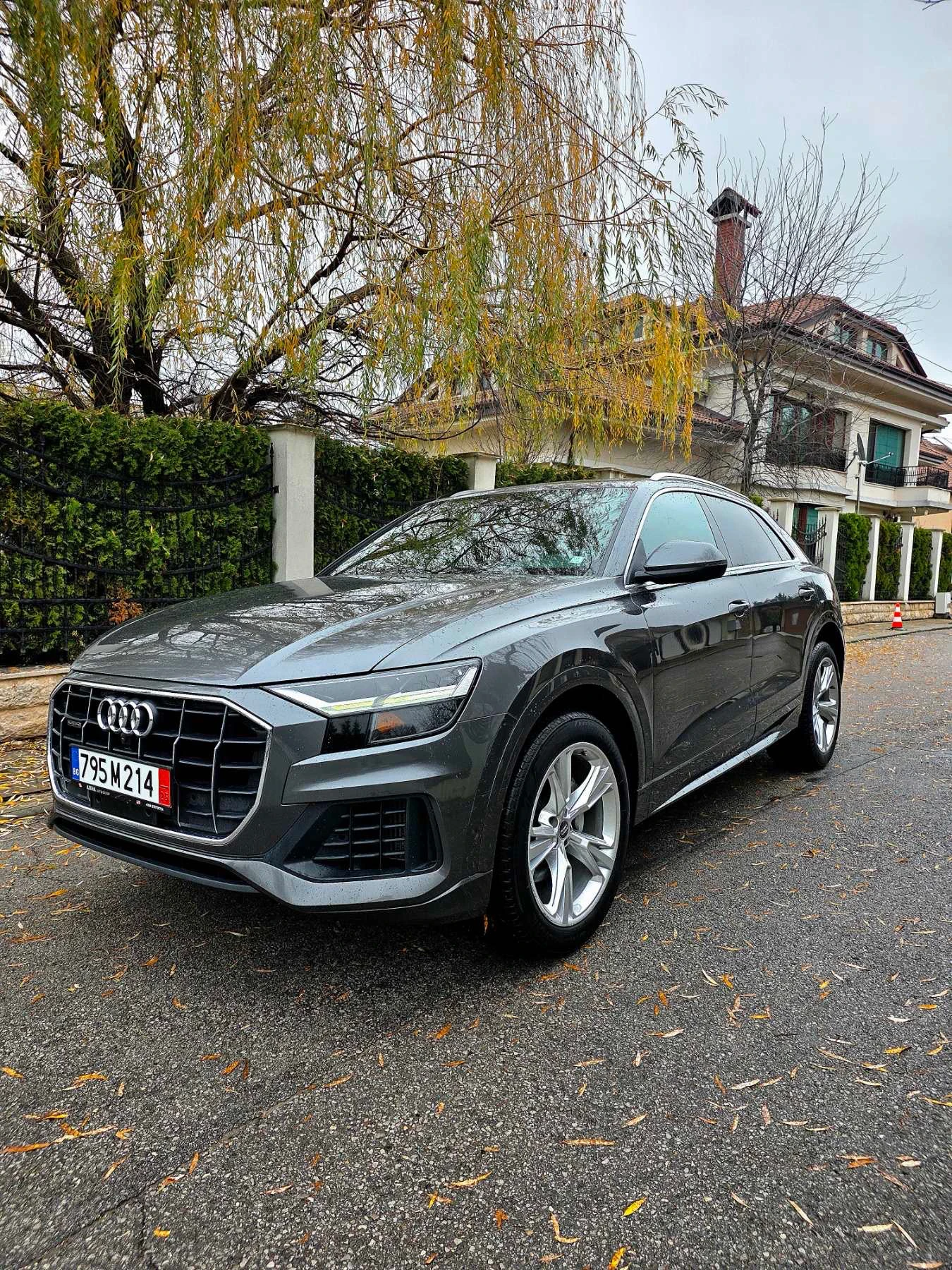 Audi Q8 S-line Уникат, снимка 1