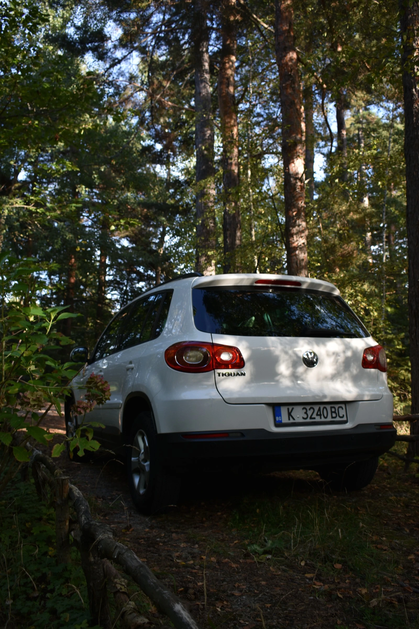 VW Tiguan 4x4 | Mobile.bg   7
