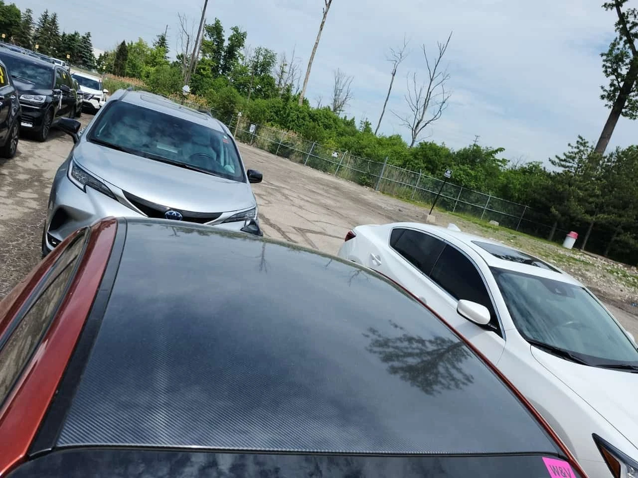 BMW M2 COMP| CARBON| ALCANTARA| HAR/KAR| �����| 2 �����|  | Mobile.bg � ����������� 8
