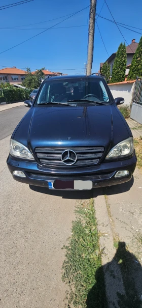 Mercedes-Benz ML 270, снимка 1