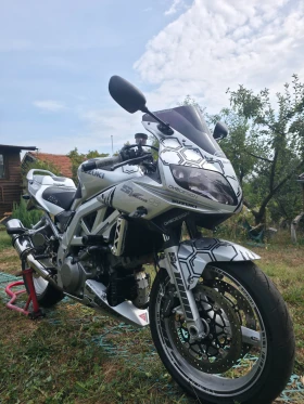 Suzuki SV 1000, снимка 1
