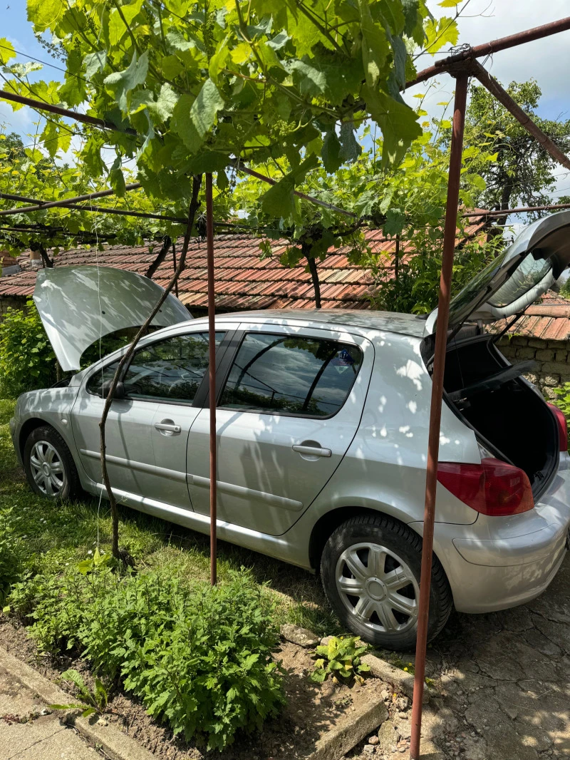 Peugeot 307 1.6 бензин , снимка 2 - Автомобили и джипове - 45793875