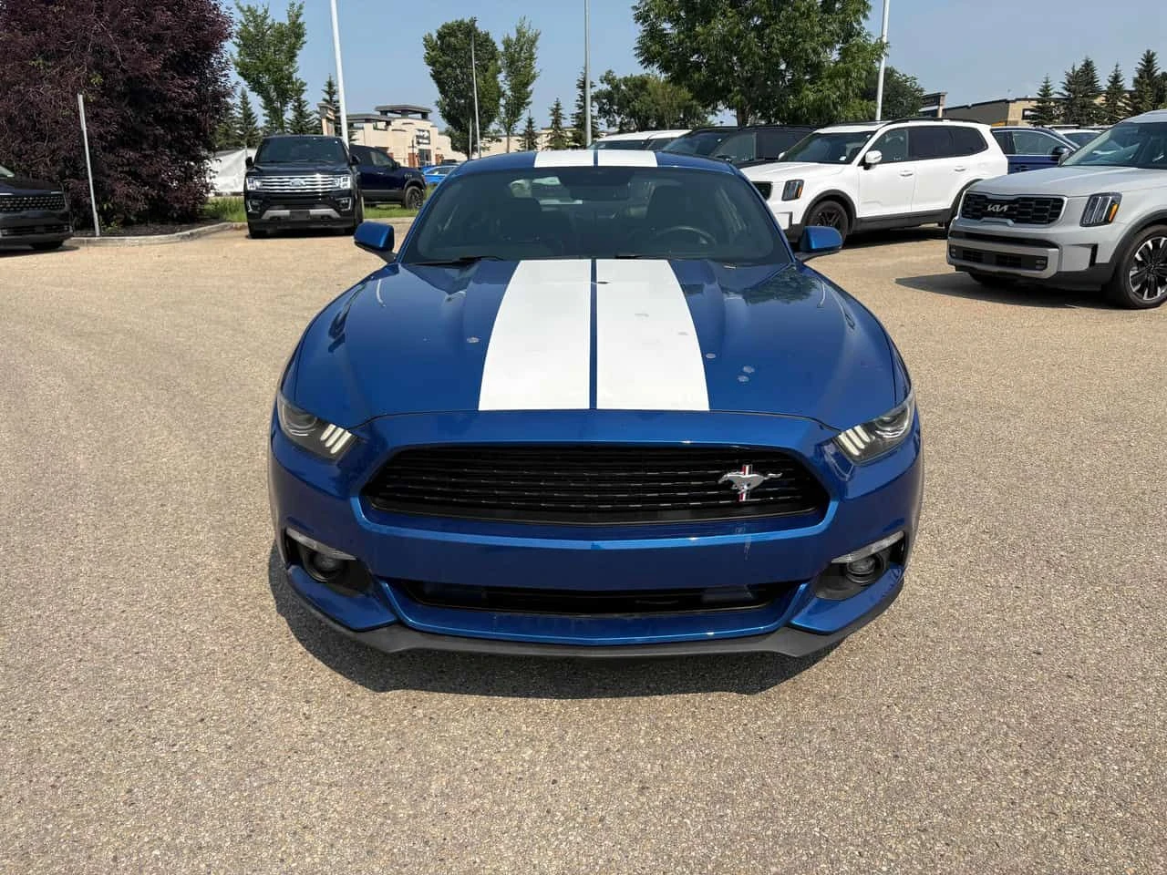 Ford Mustang  EcoBoost Premium /АВТОКРЕДИТ , снимка 6 - Автомобили и джипове - 55408413