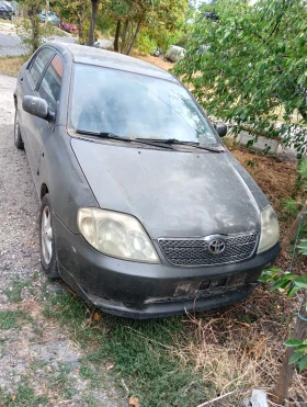          Toyota Corolla 