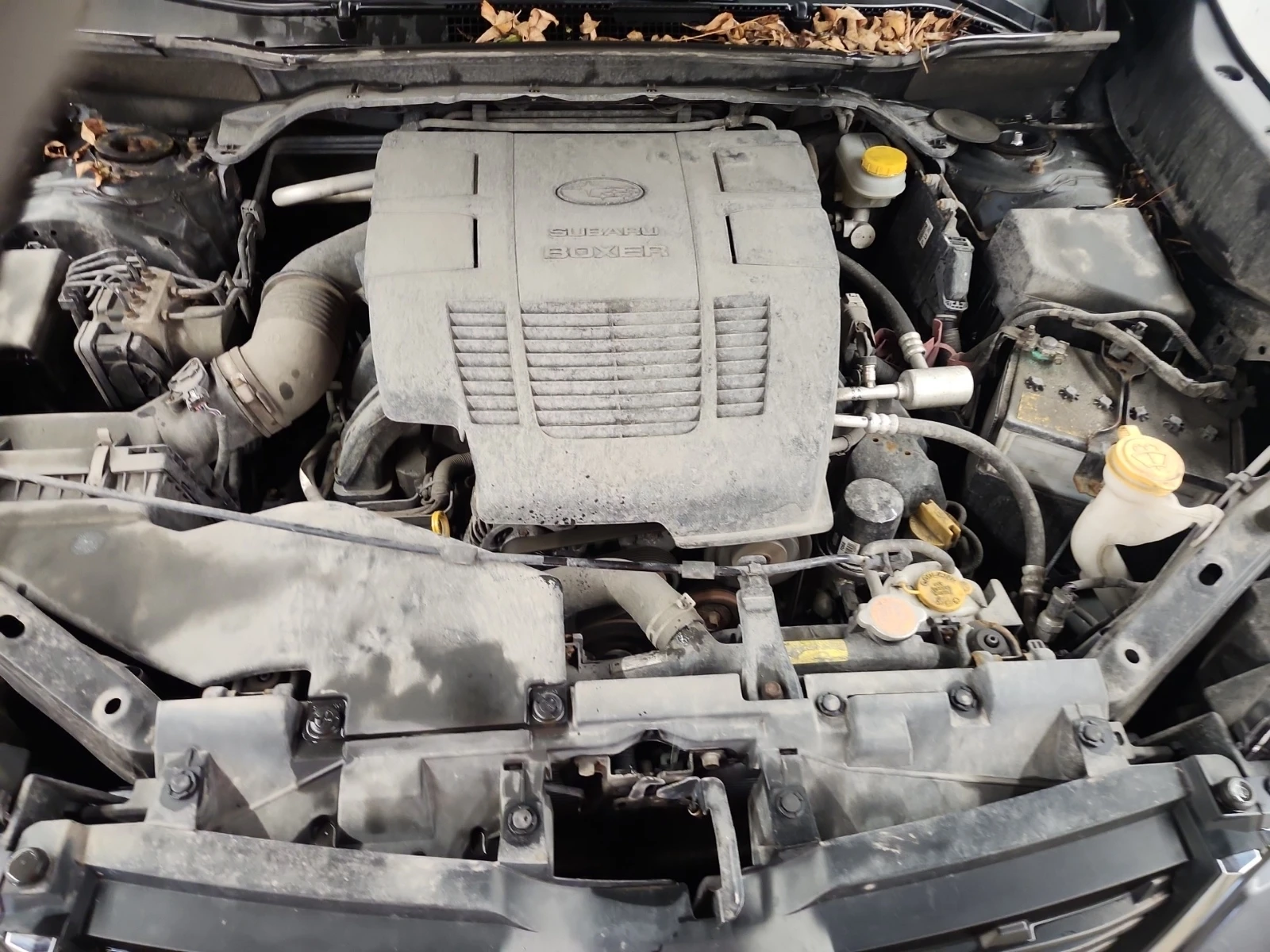 Subaru Forester LIMITED, снимка 17 - Автомобили и джипове - 55017894
