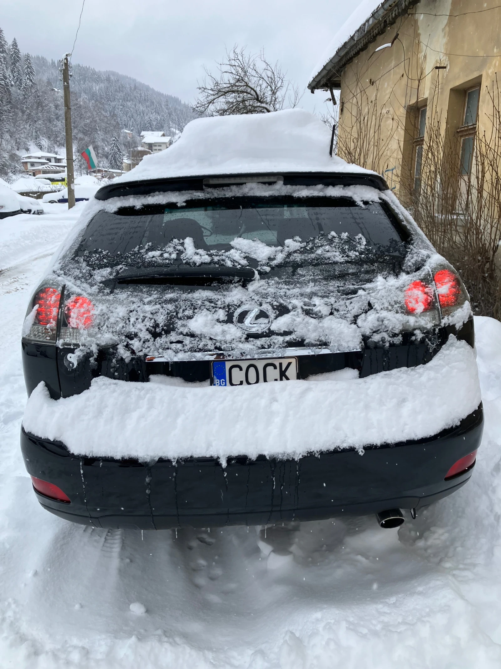 Lexus RX 400h, снимка 17 - Автомобили и джипове - 54811139