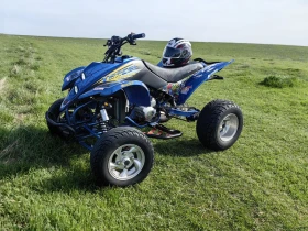 Shineray XY Shineray 250kyb | Mobile.bg � ����� ������ 5