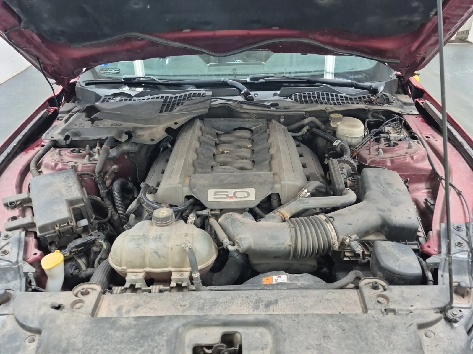 Ford Mustang GT Premium | Mobile.bg � ����������� 14