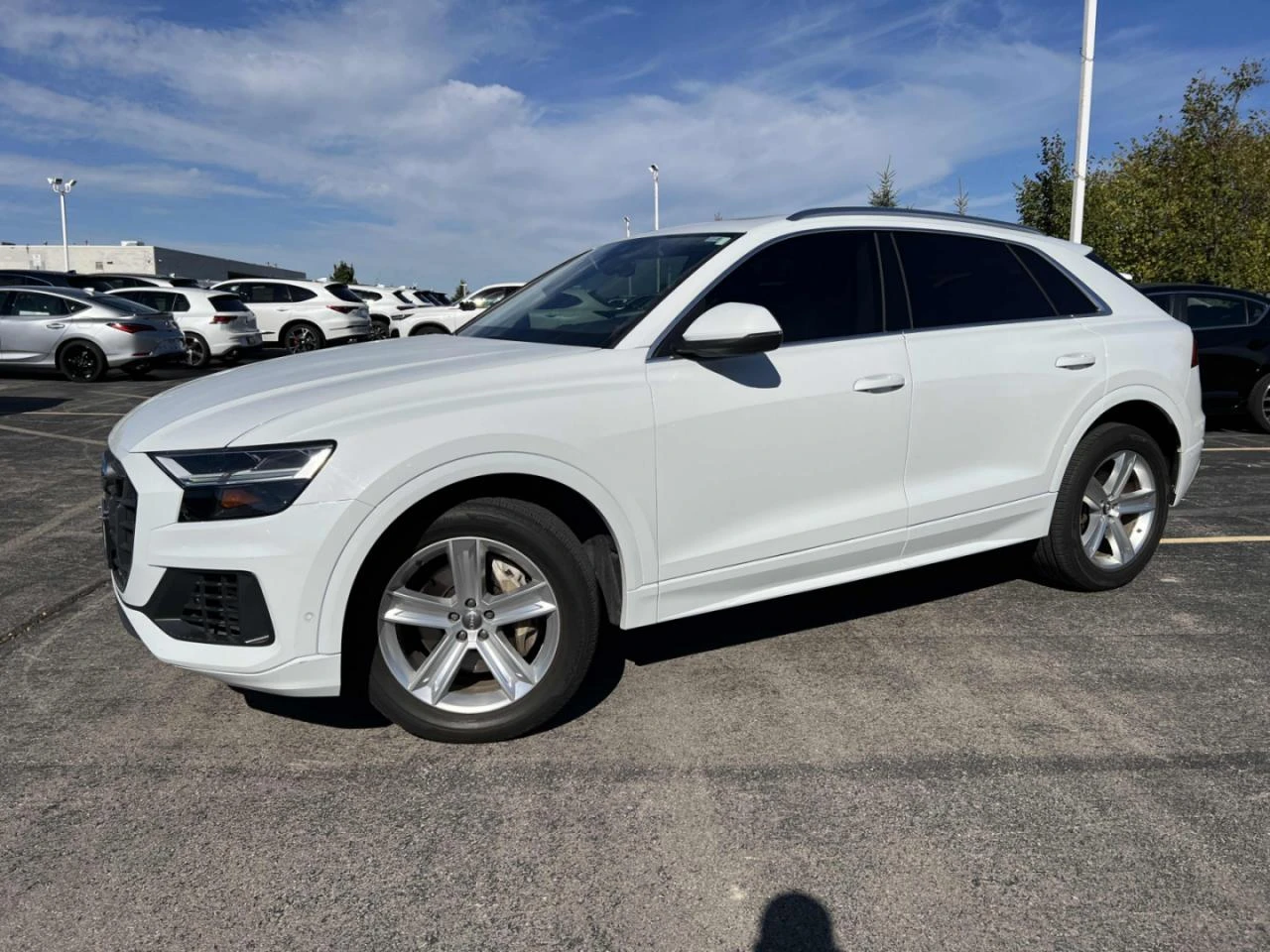 Audi Q8 3.0L QUATTRO PREMIUM PLUS | Mobile.bg � ����������� 1