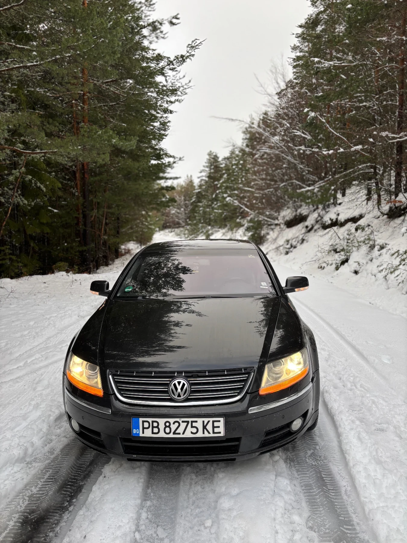 VW Phaeton  - изображение 8