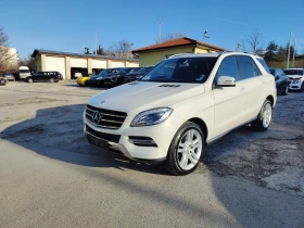     Mercedes-Benz ML 250