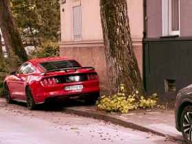 Ford Mustang 50 years edition , снимка 5
