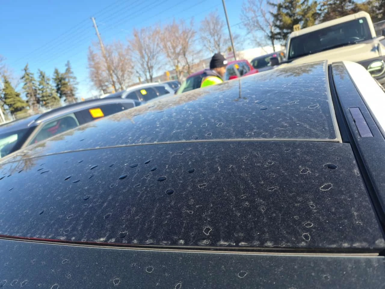 Mercedes-Benz C 300 PANORAMA| ��������| CARFAX|  | Mobile.bg � ����������� 6