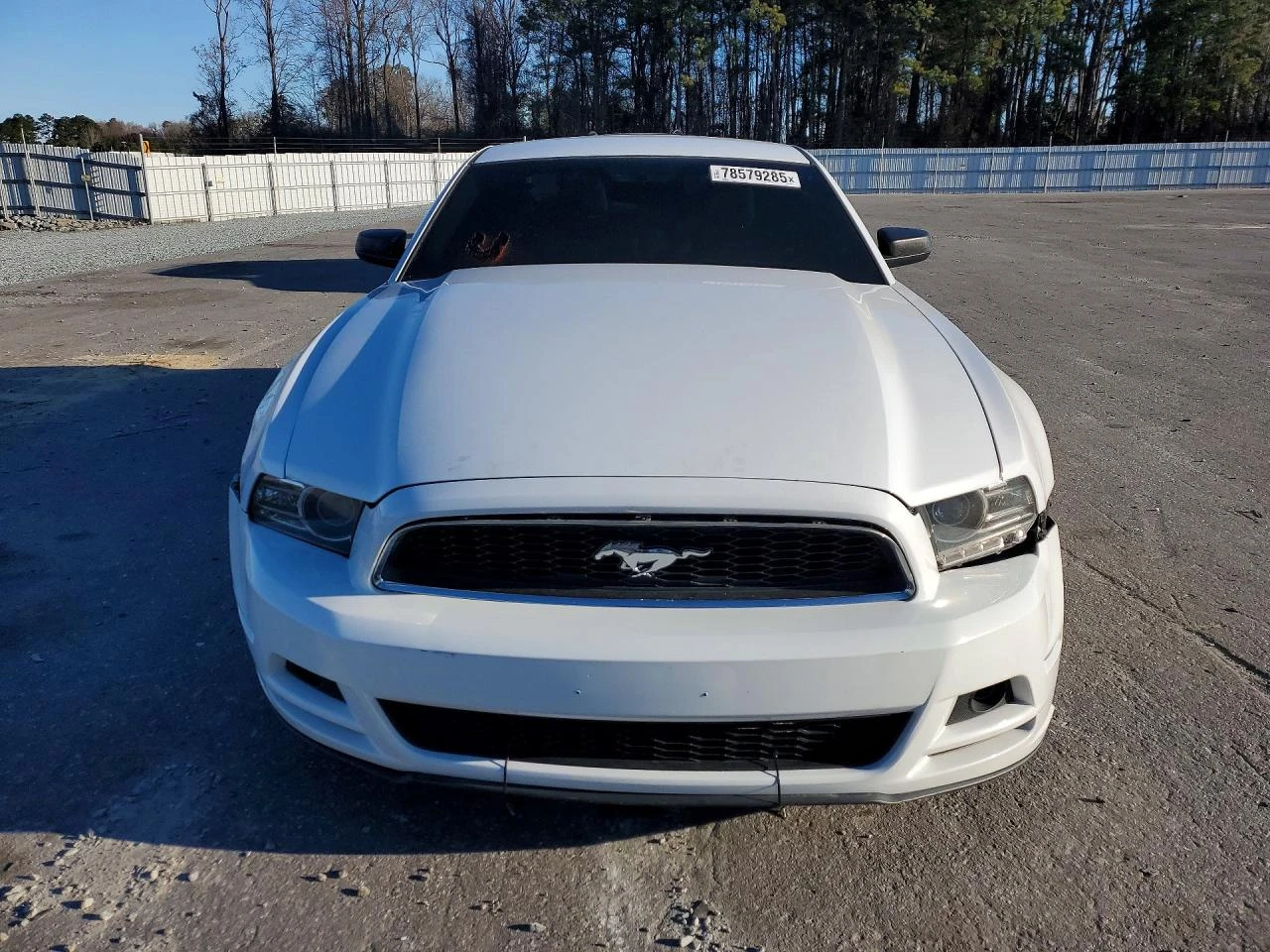 Ford Mustang 3.7l | Auto.bg — изображение 1