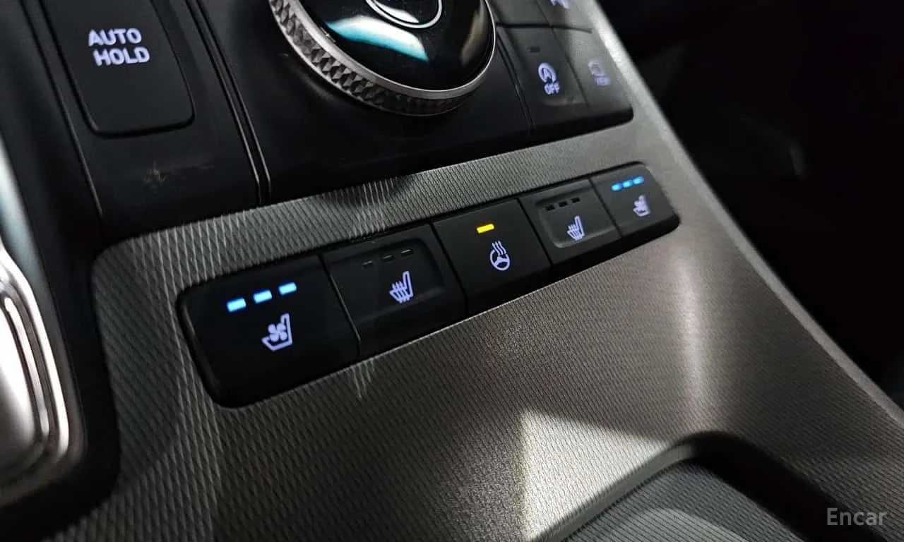 Hyundai Palisade * Gasoline 3.8 2WD * ������ ���� �� �������� | Mobile.bg � ����������� 16