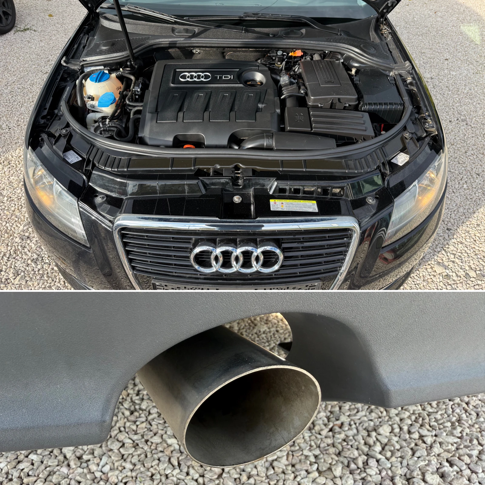 Audi A3 1.6TDi, FACELIFT,  | Mobile.bg   17