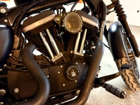 Harley-Davidson Sportster 883, снимка 10