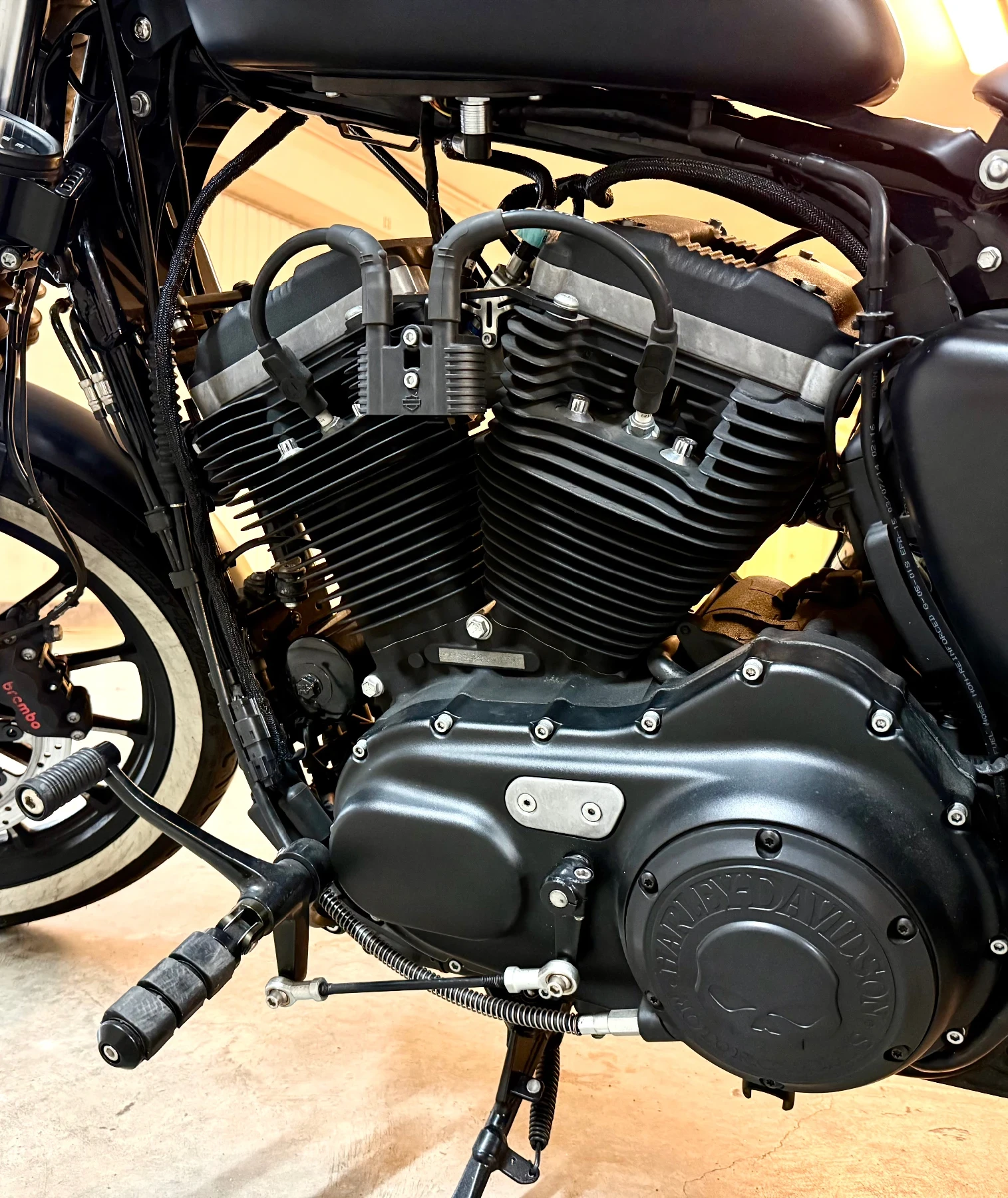 Harley-Davidson Sportster 883 - изображение 5