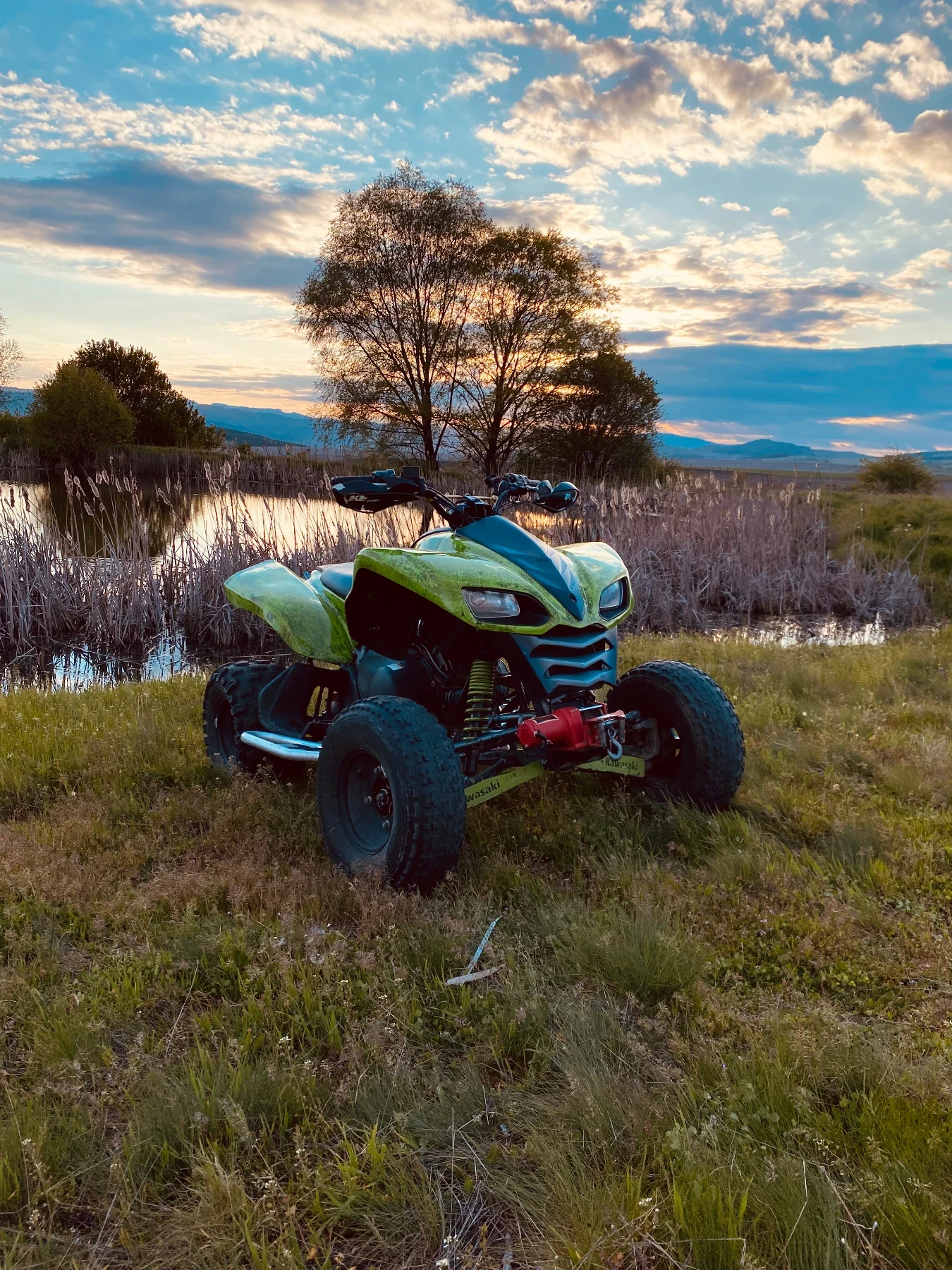 Kawasaki Kfx