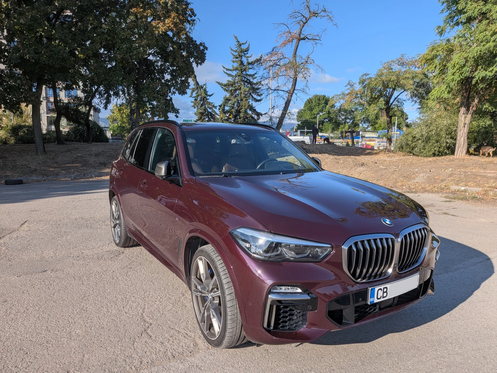 BMW X5M M50D