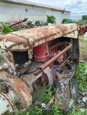 Друг вид Български, снимка 3