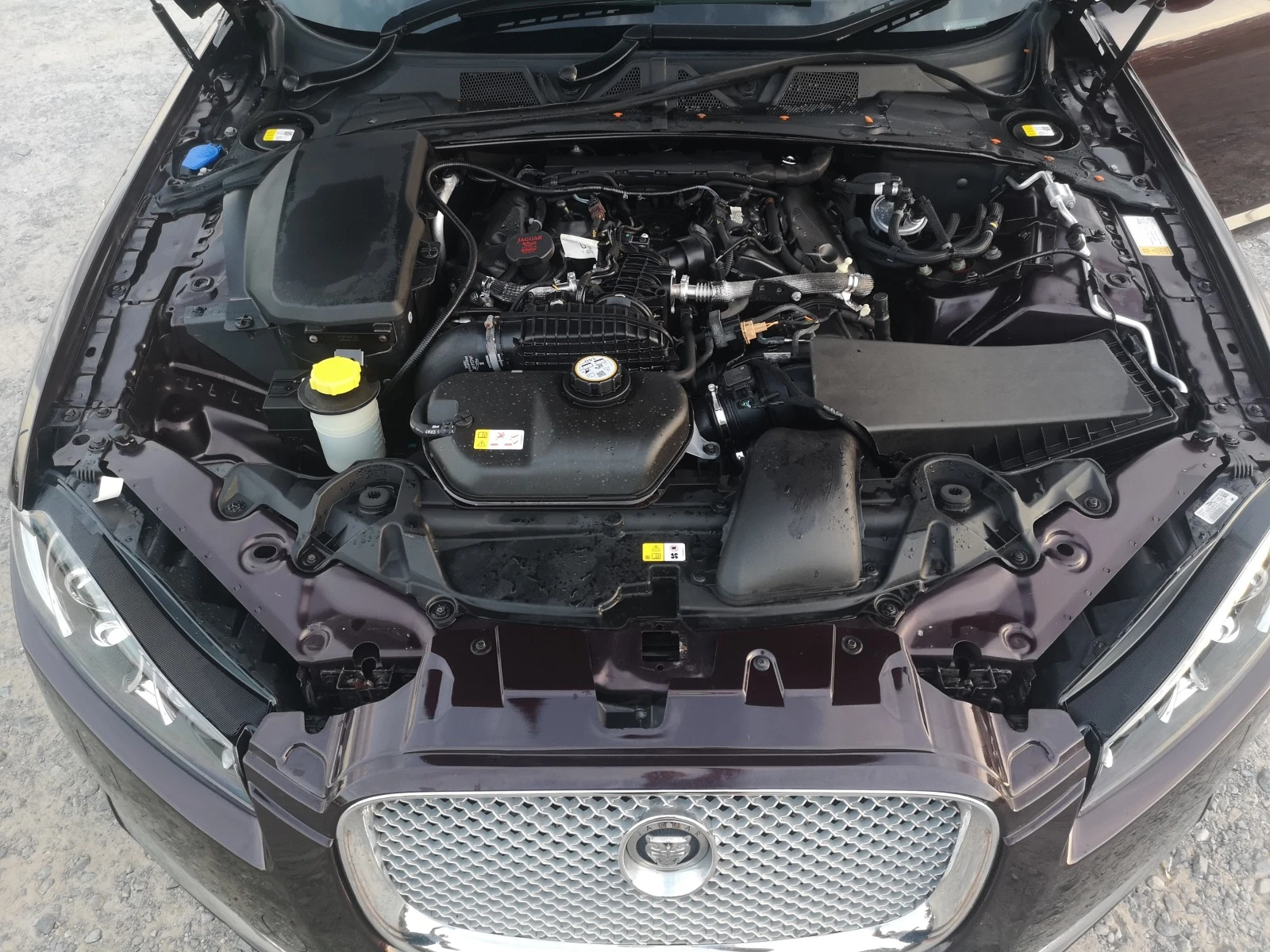 Jaguar Xf 3.0d | Mobile.bg   14