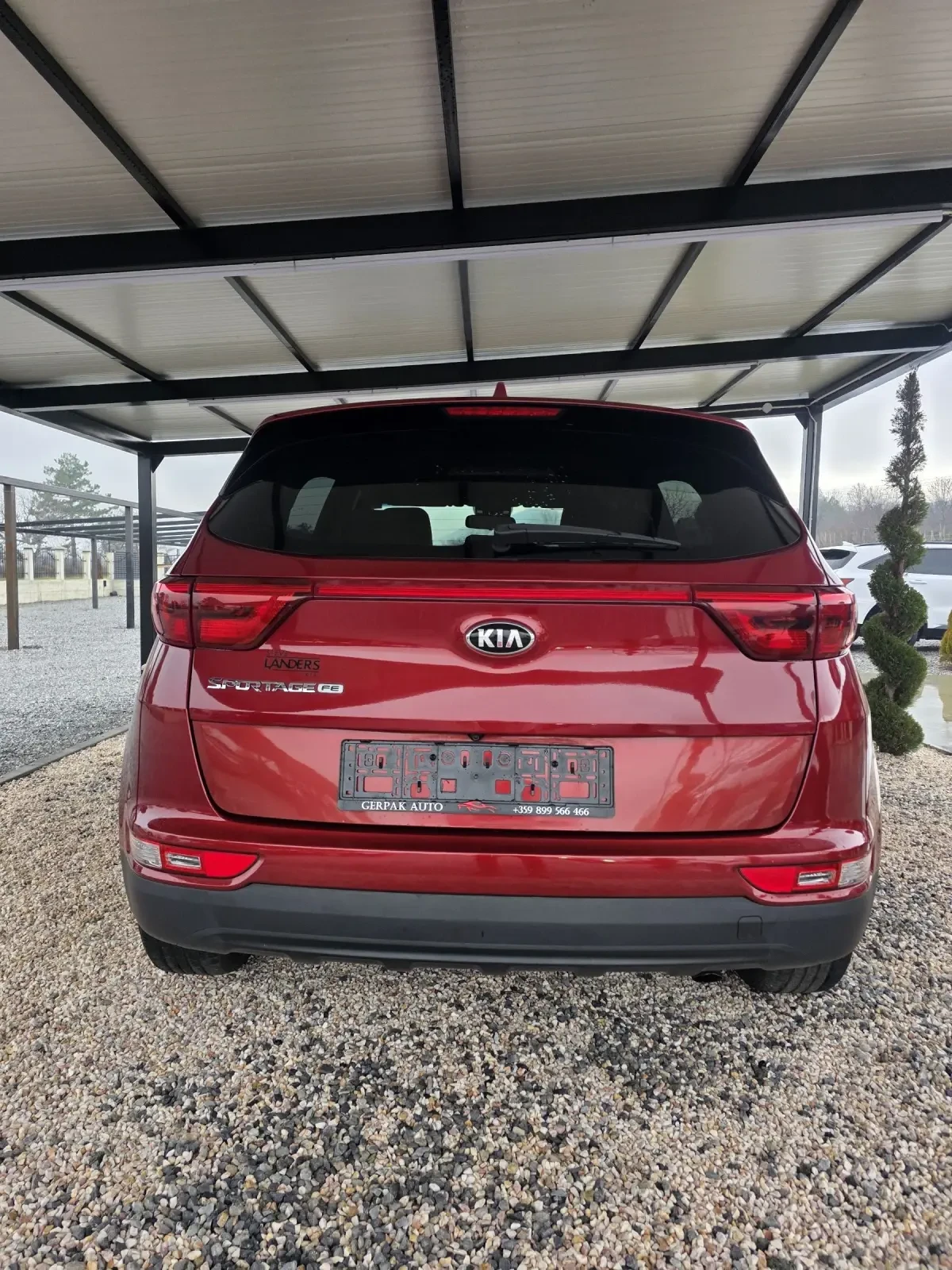 Kia Sportage  - изображение 6